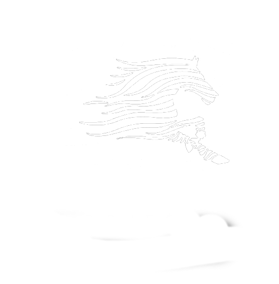 cap black Zibra logo copy